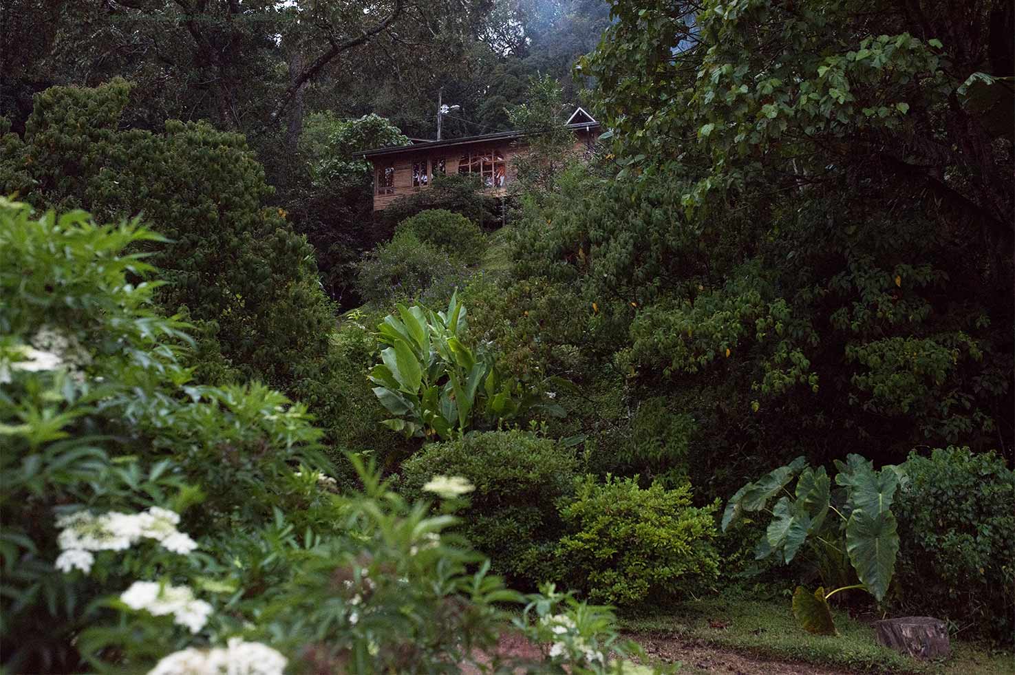 Cedrela Eco Lodge, Copey de Dota, Costa Rica