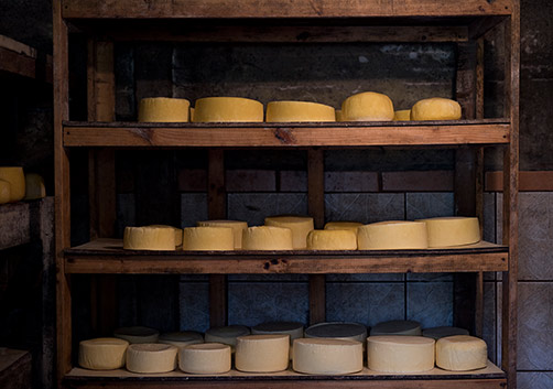 Cheese, locally-sourced produced food. Copey's valley, Costa Rica