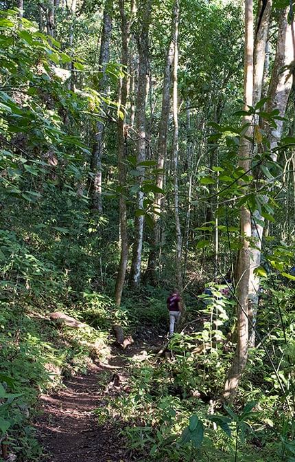 Hike on trails, Costa Rica, Copey de Dota