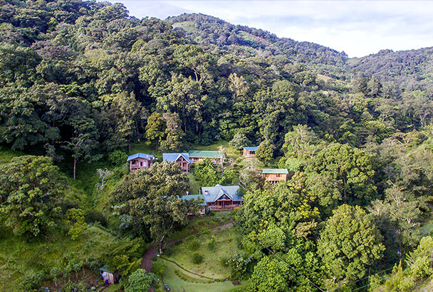 Close to nature hotel, Cedrela Eco Lodge Close to nature hotel, Cedrela Eco Lodge